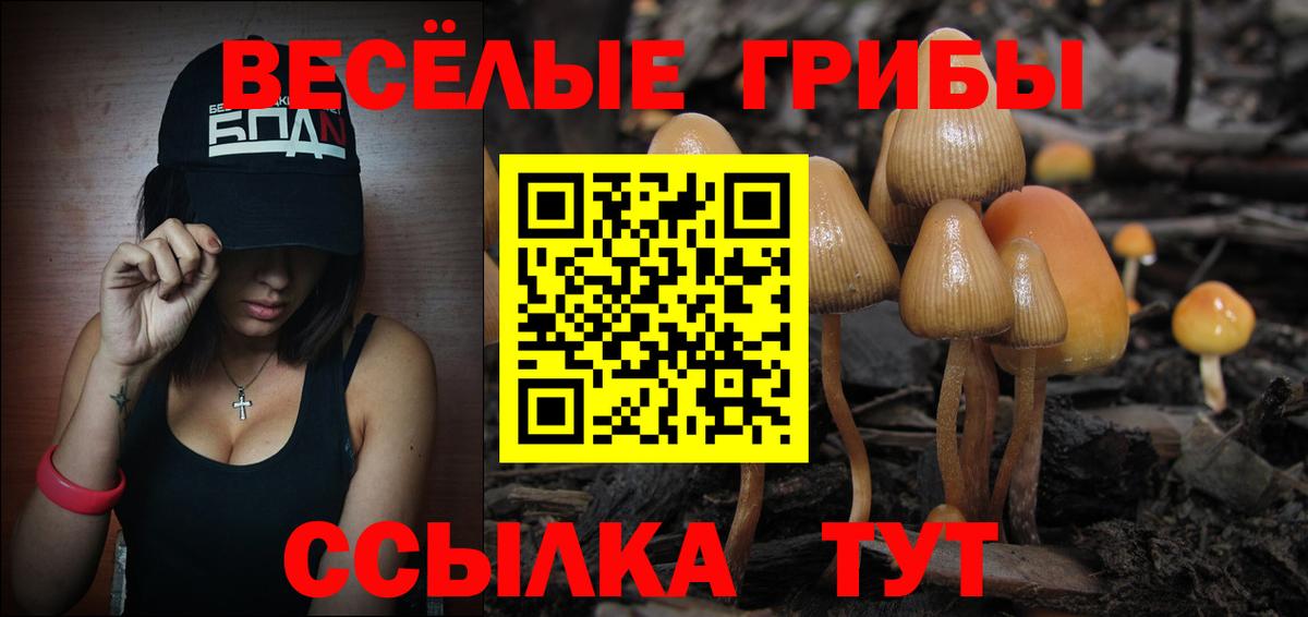 Галлюциногенные грибы GOLDEN TEACHER Гулькевичи